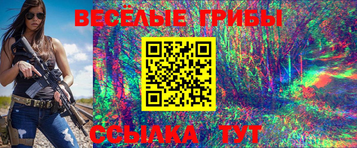 Псилоцибиновые грибы GOLDEN TEACHER Изобильный